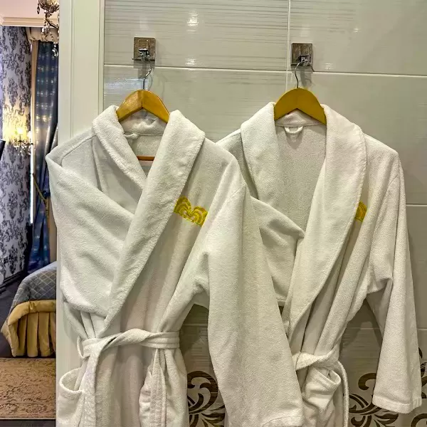 Номер Серебряный люкс в санатории Целебный Нарзан в городе Кисловодске - фотография