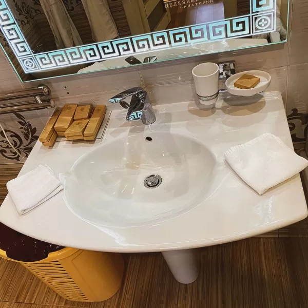 Номер Синдика люкс в санатории Целебный Нарзан в городе Кисловодске - фотография