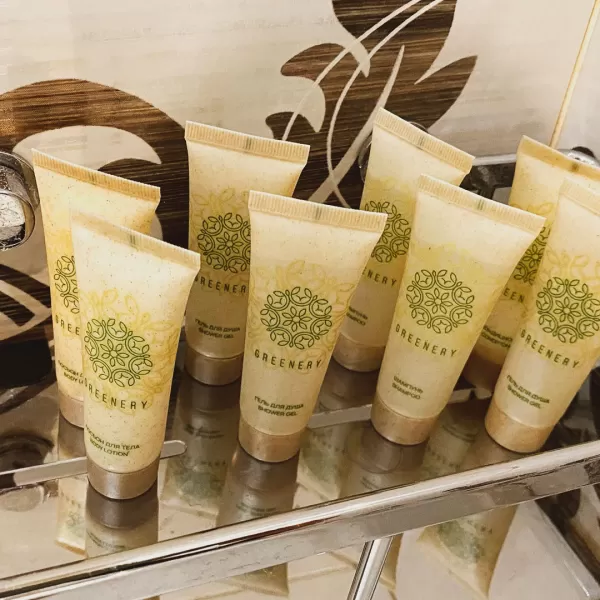 Номер Синдика люкс в санатории Целебный Нарзан в городе Кисловодске - фотография