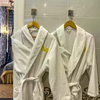 Номер Серебряный люкс в санатории Целебный Нарзан в городе Кисловодске - фотография