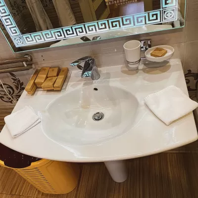 Номер Синдика люкс в санатории Целебный Нарзан в городе Кисловодске - фотография