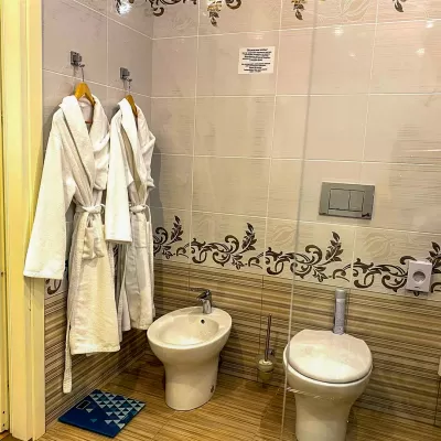 Номер Синдика люкс в санатории Целебный Нарзан в городе Кисловодске - фотография