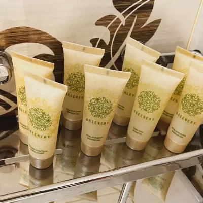 Номер Синдика люкс в санатории Целебный Нарзан в городе Кисловодске - фотография