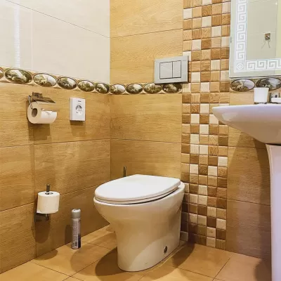 Номер Синдика люкс в санатории Целебный Нарзан в городе Кисловодске - фотография